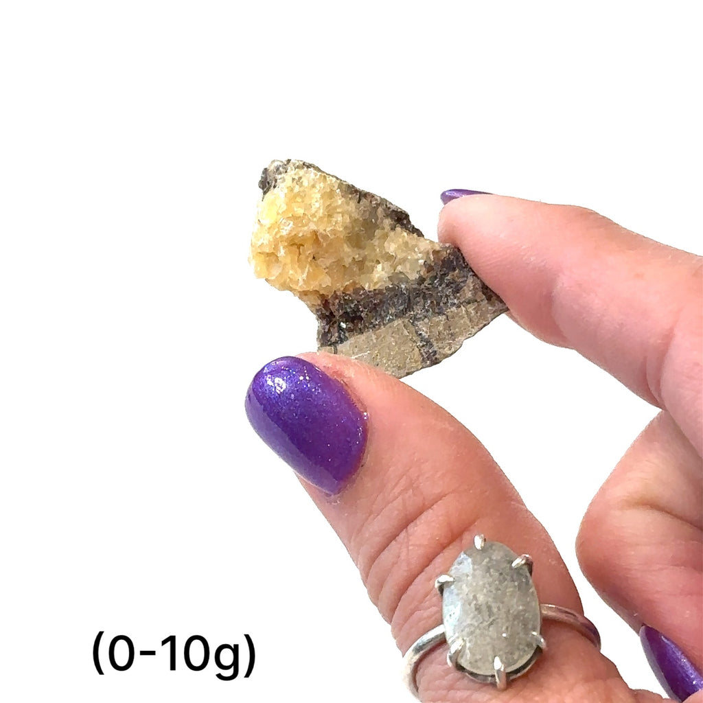 Hand holding raw Septarian Nodule to show size and texture, ethically sourced and Reiki cleansed on white close up view