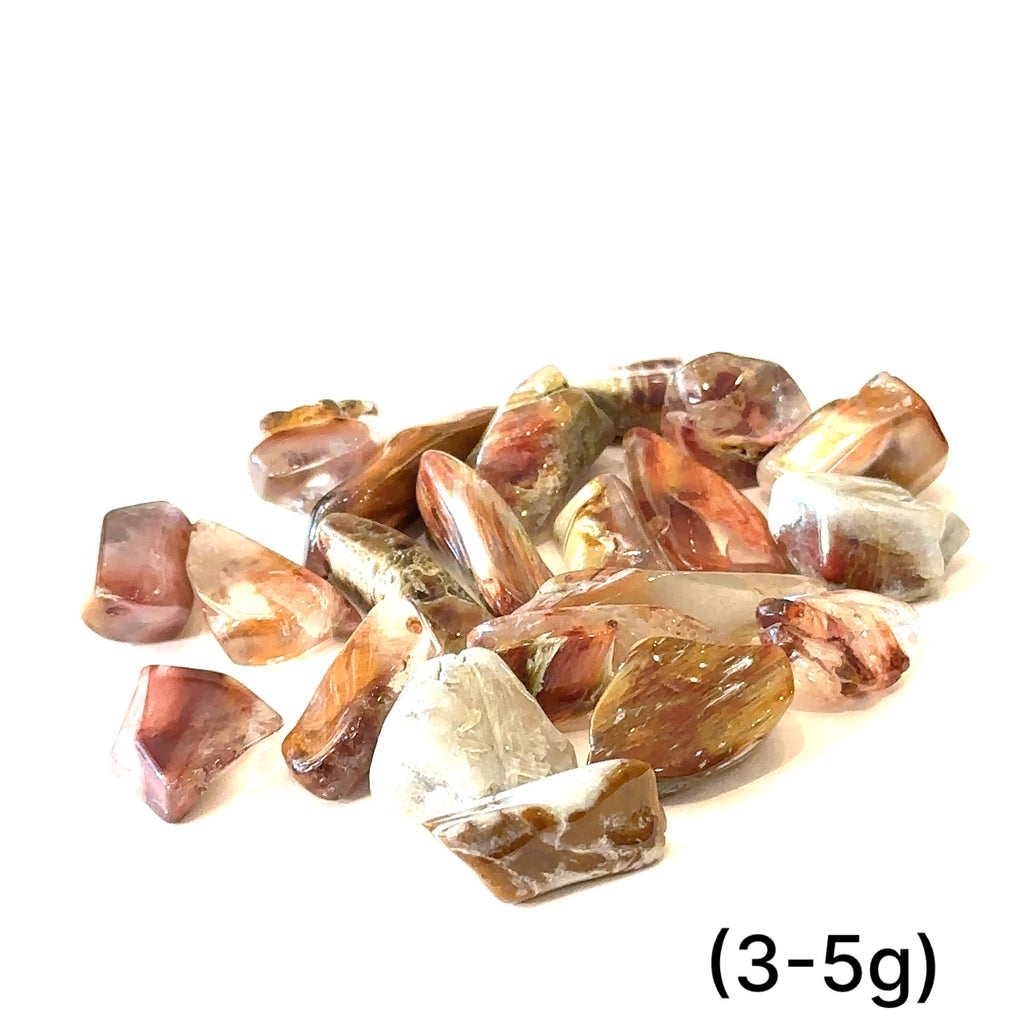 Healing Amphibole Quartz crystal for angelic connection and higher self guidance grouping of (2g) on white overview