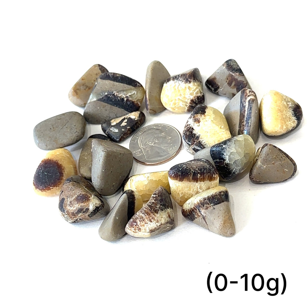 Healing Septarian crystal composed of Aragonite, Calcite, and Limestone (0-10g) on white center overview