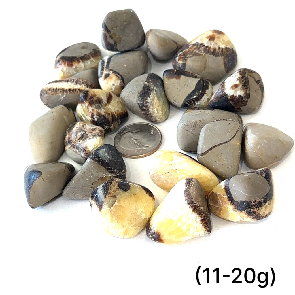 Healing Septarian crystal composed of Aragonite, Calcite, and Limestone (11-20g) on white center overview