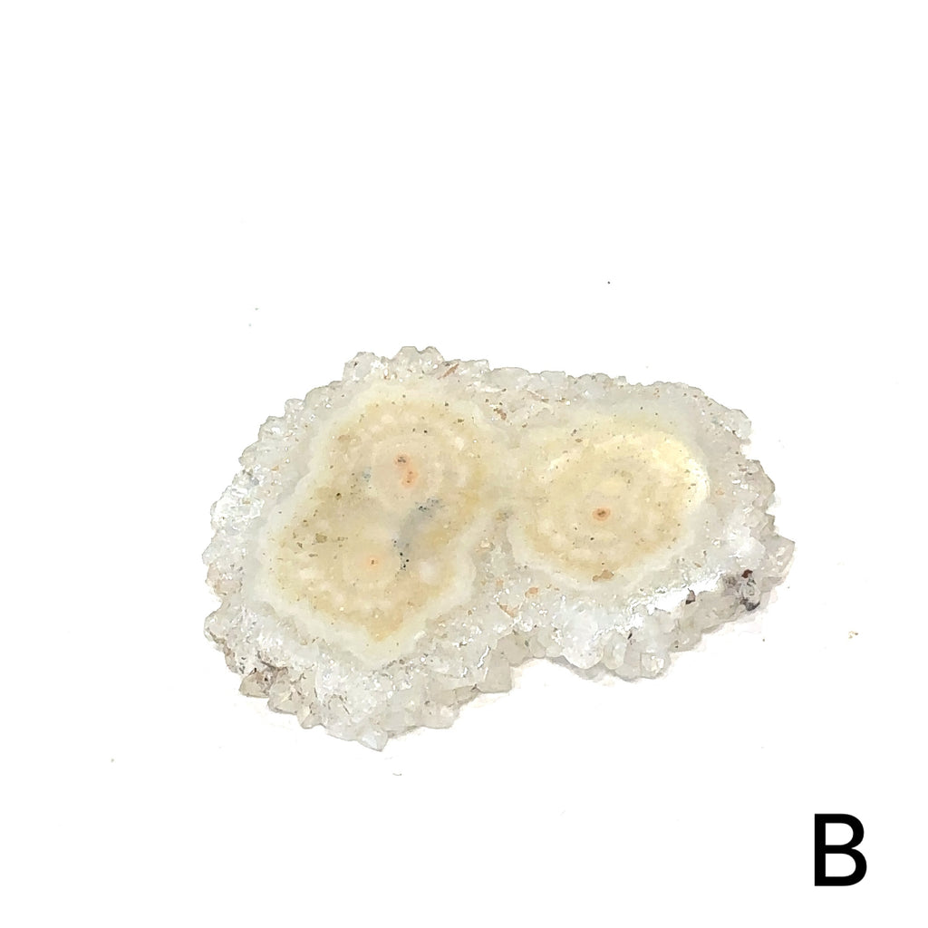 Healing agate crystal slice for stability, peace, and focus #B on white center overview