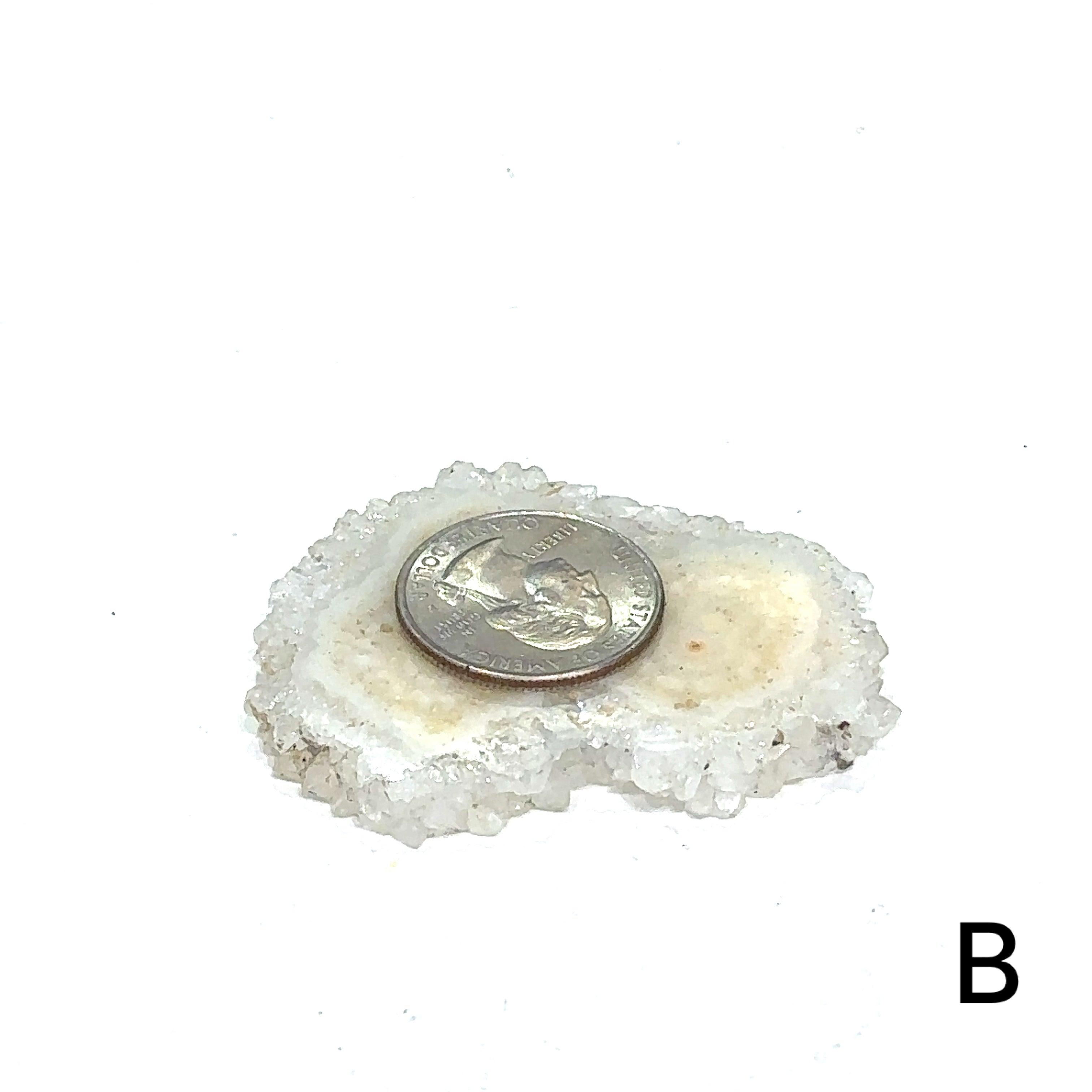 Healing agate crystal slice for stability, peace, and focus #B on white center overview with Quarter on the agate to show size