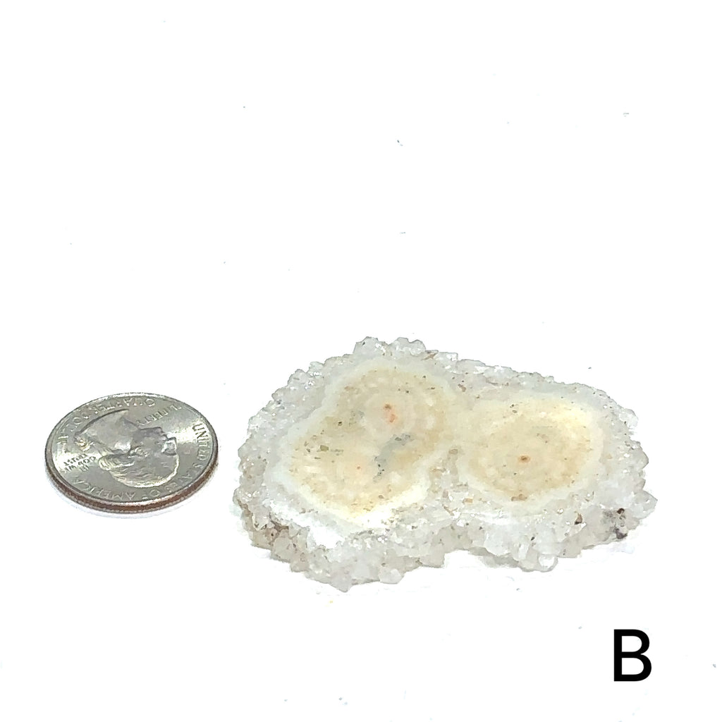Healing agate crystal slice for stability, peace, and focus #B on white center overview with Quarter to show size on the left 