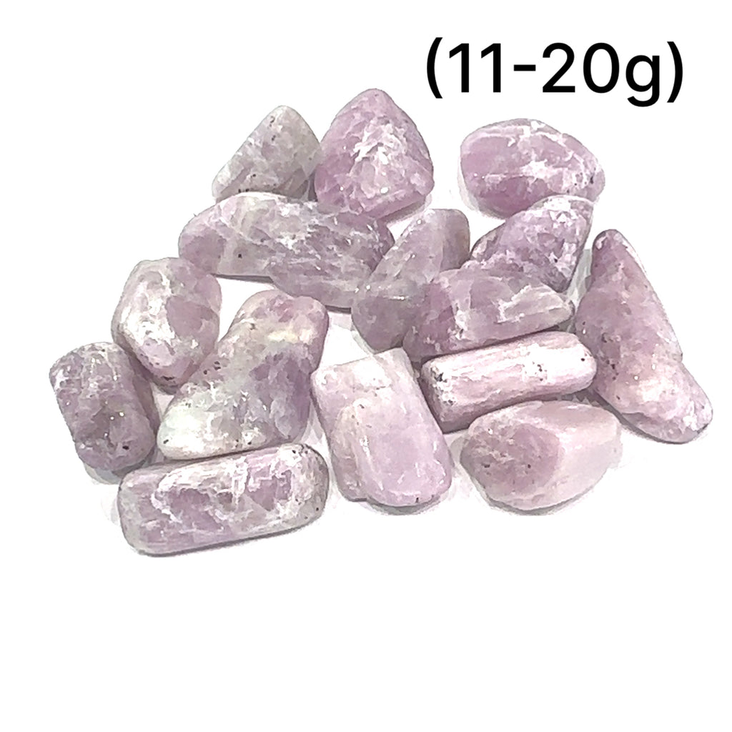 Kunzite Semi-Tumbled Gemstone grouping of (11-20g) on white overview