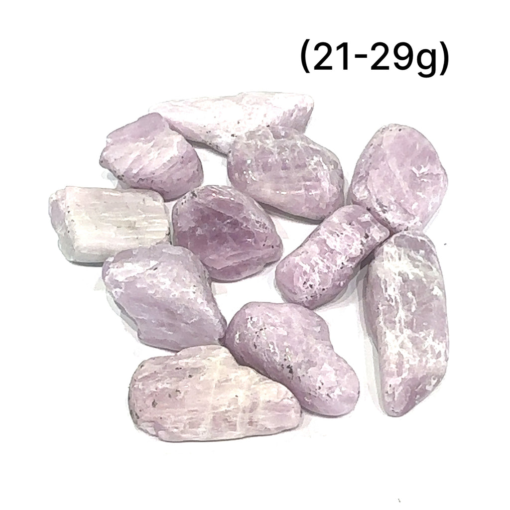 Kunzite Semi-Tumbled Gemstone grouping of (21-29g) on white overview