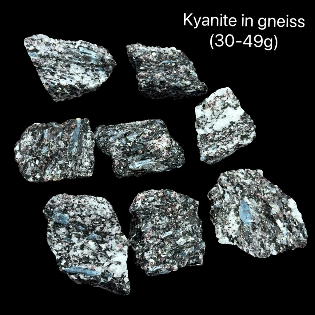 Kyanite in gneiss crystals on a black background with text indicating weight range (30-49g), front view. 