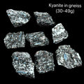 Kyanite in gneiss crystals on a black background with text indicating weight range (30-49g), front view. 