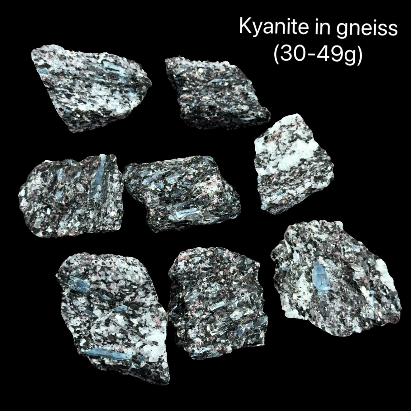 Kyanite in gneiss crystals on a black background with text indicating weight range (30-49g), front view. 