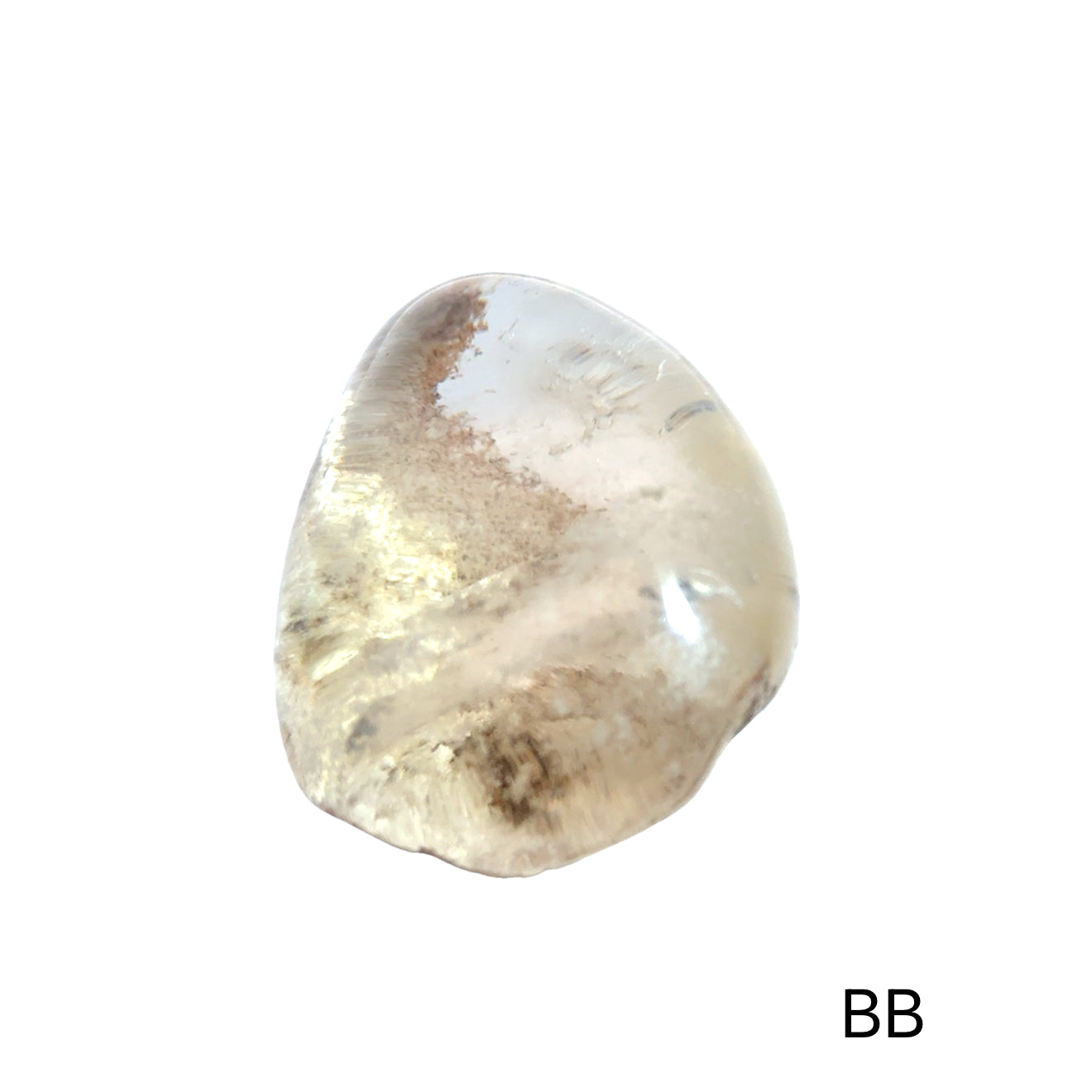One Brazilian Lodolite Garden Quartz palm gemstones, labeled BB isdisplayed on a white background in a front view. 