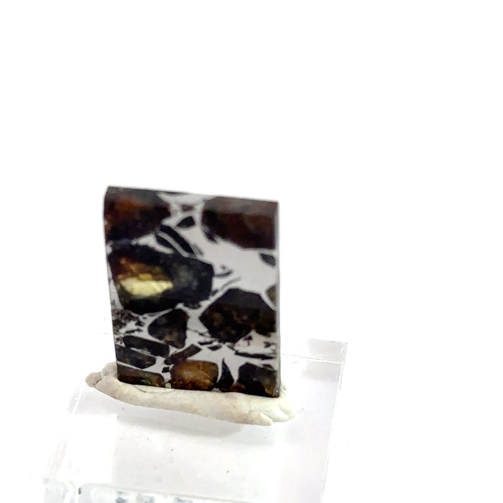 Pallasite Meteorite Gemstone 6.6g on white back view