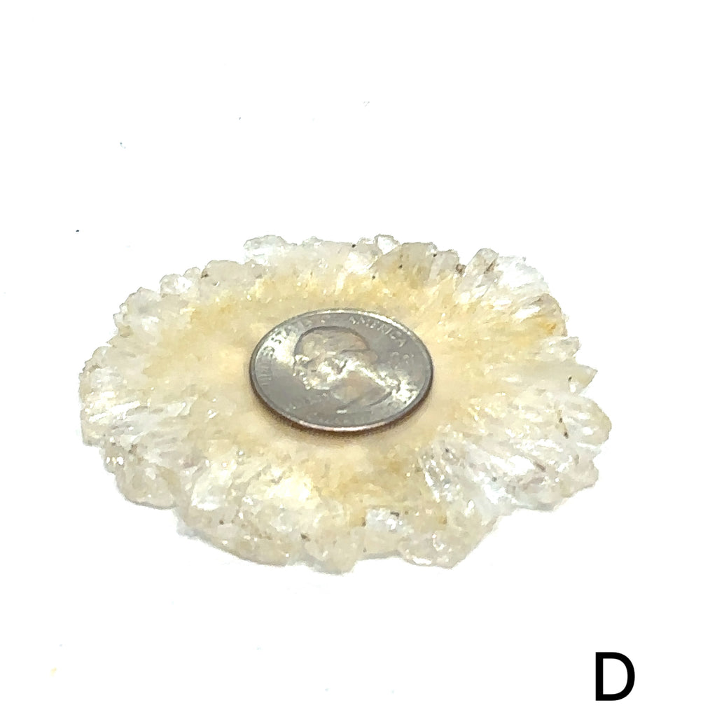 Polished agate gemstone slice for aura protection and emotional support #D on white overview with quarter on agate for sizing