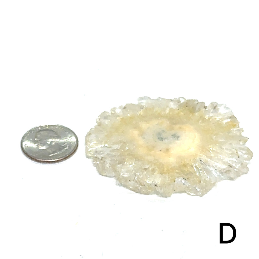 Polished agate gemstone slice for aura protection and emotional support #D on white overview with quarter on left side for sizing