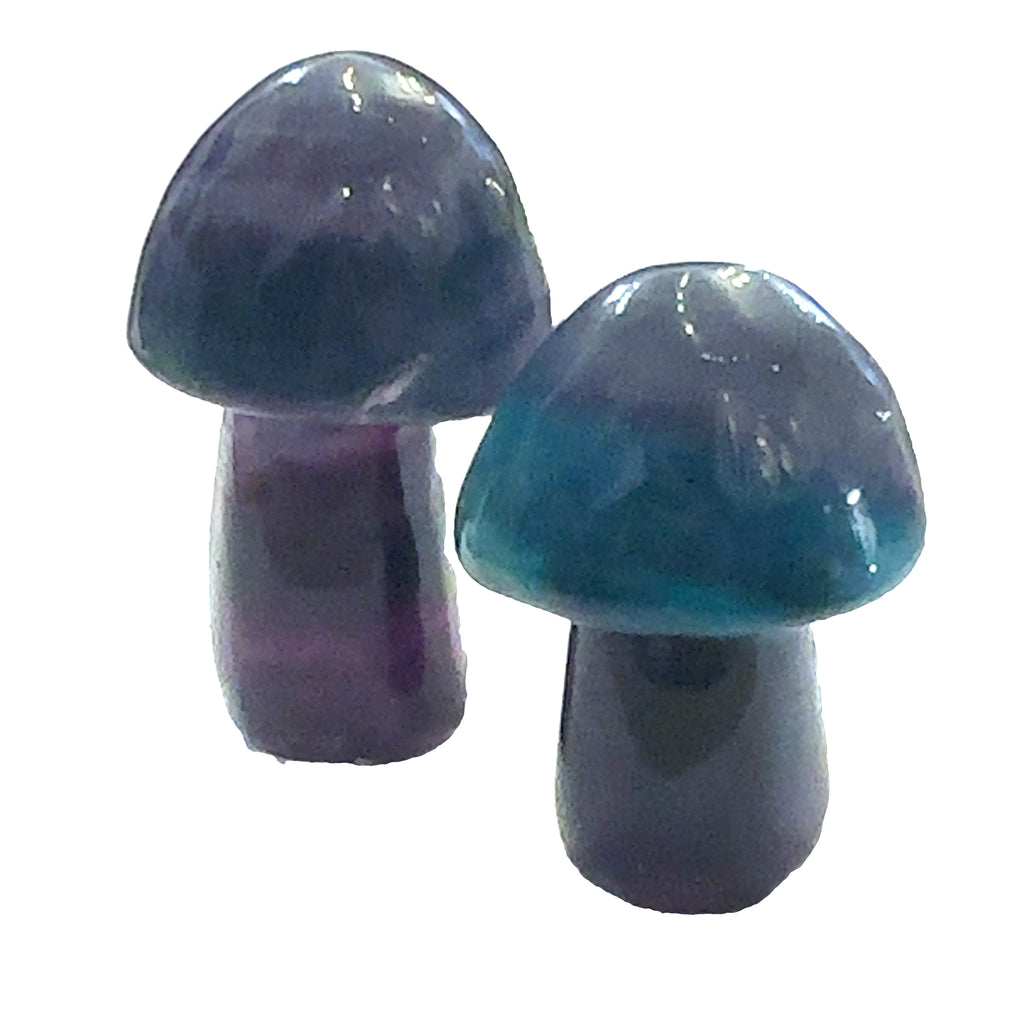 Rainbow Fluorite Gemstone Mushroom Carving grouping on white front center overview