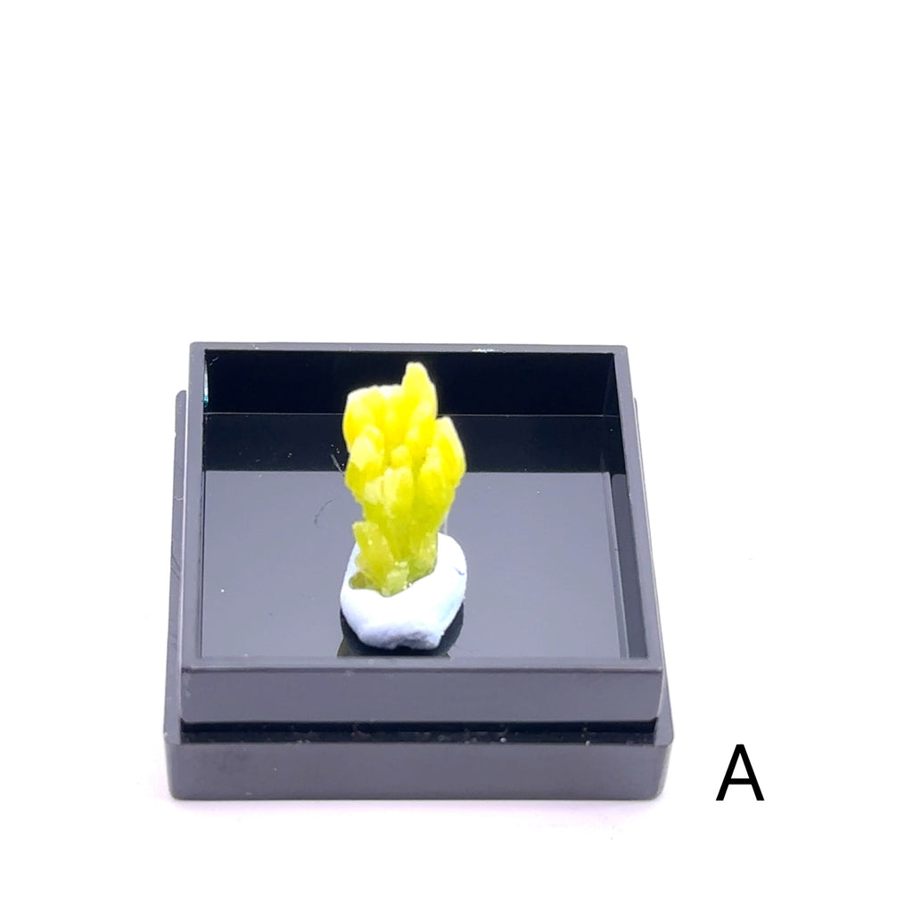 Raw Pyromorphite Gemstone in Perky Box  A  on white front view