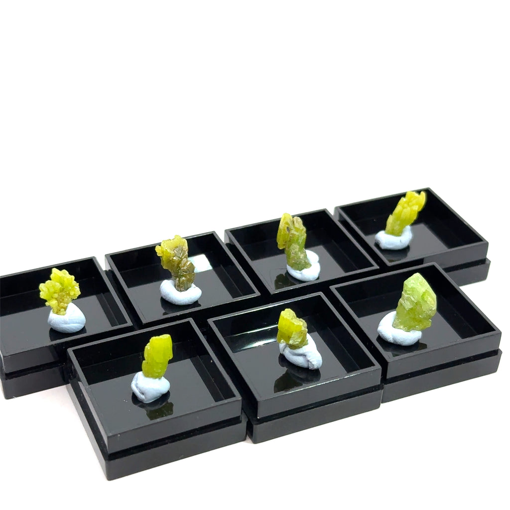 Raw Pyromorphite Gemstone in Perky Box  grouping on white front view