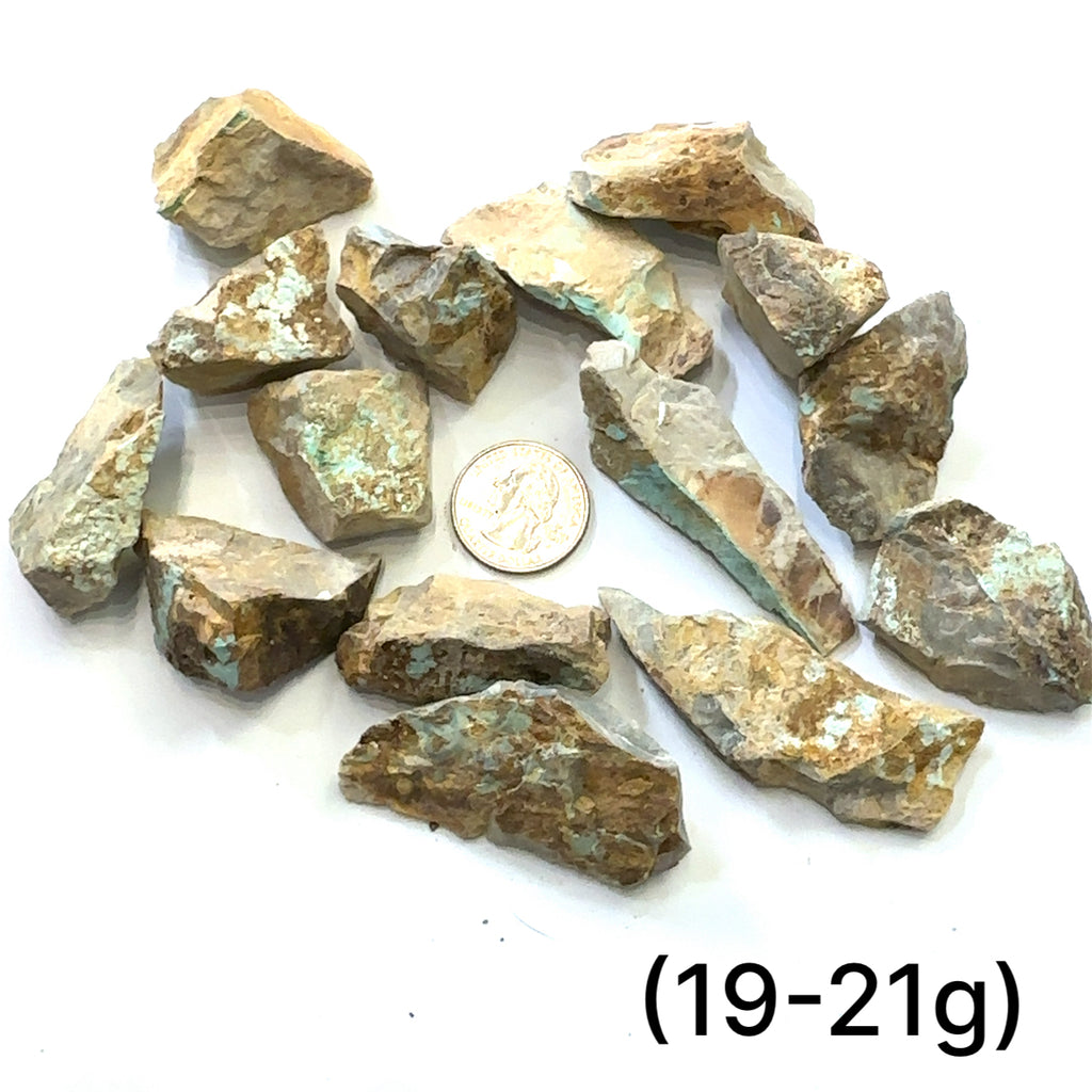 Raw Royston Turquoise Gemstone grouping (19-21g) on white overview