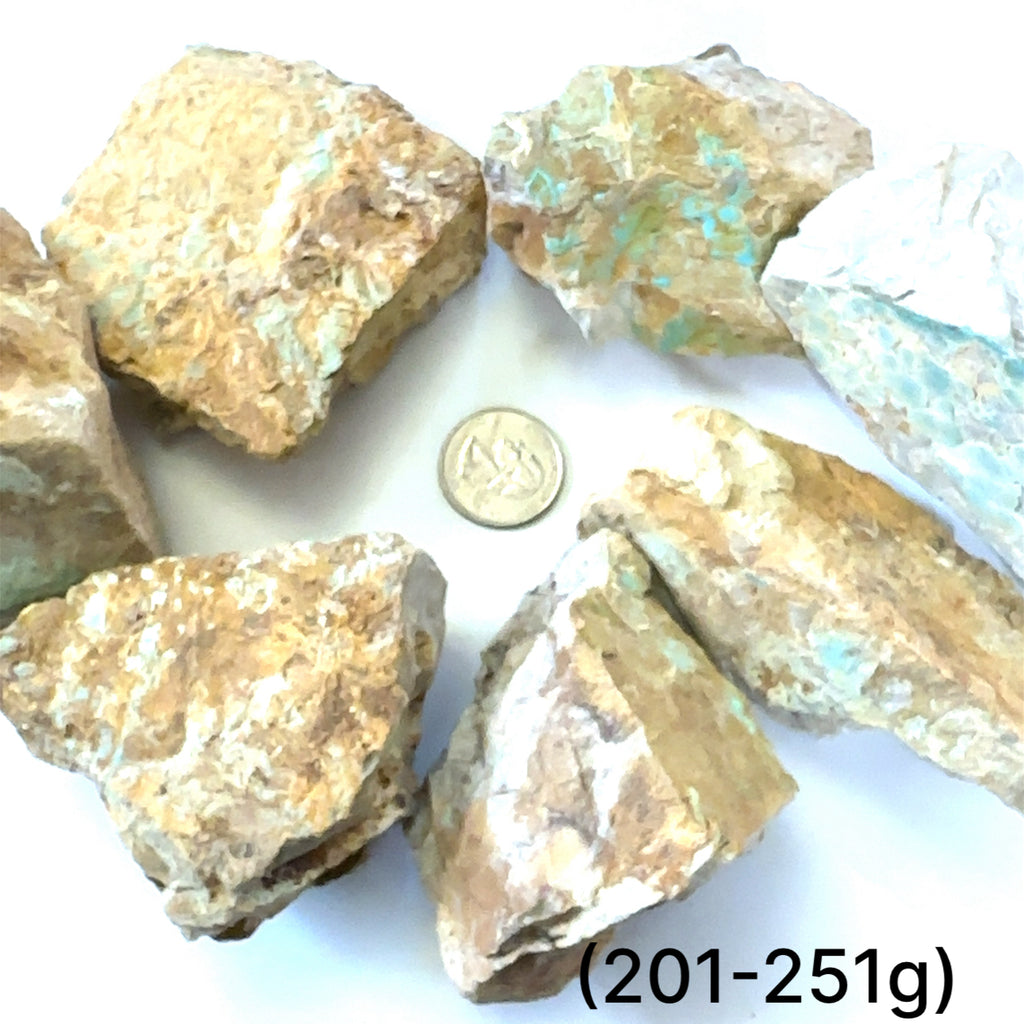 Raw Royston Turquoise Gemstone grouping (201-251g) on white overview