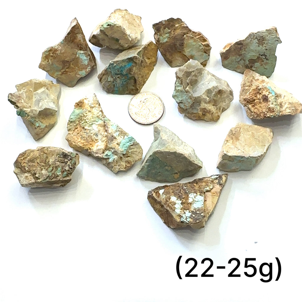 Raw Royston Turquoise Gemstone grouping (22-25g) on white overview