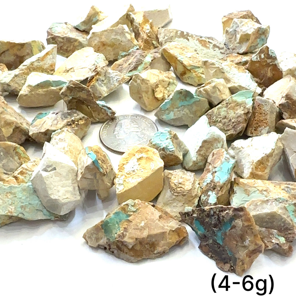 Raw Royston Turquoise Gemstone grouping (4-6g) on white overview