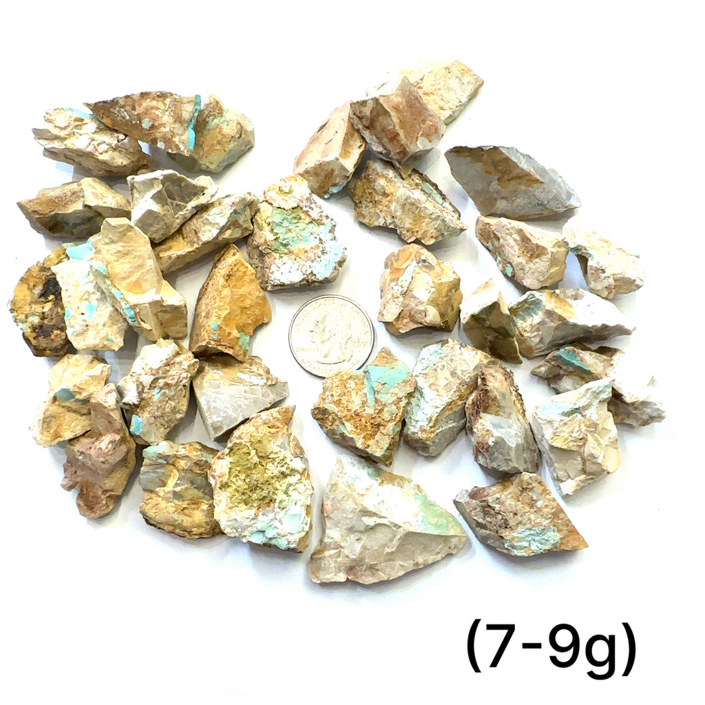 Raw Royston Turquoise Gemstone grouping (7-9g) on white overview