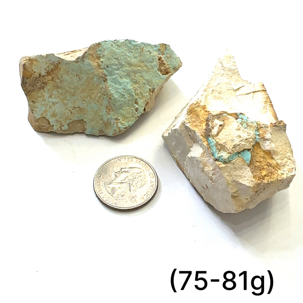 Raw Royston Turquoise Gemstone grouping (75-81g) on white overview