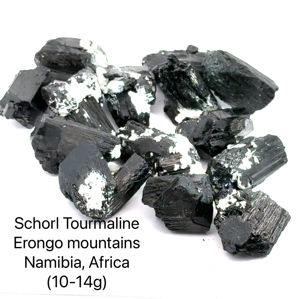 Raw Schorl Tourmaline (Black Tourmaline)  10-14g on white in perky box  close up front view