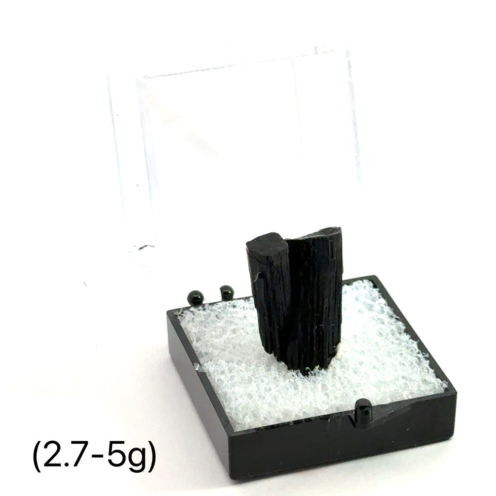 Raw Schorl Tourmaline (Black Tourmaline)  2.7-5g on white in perky box  front view