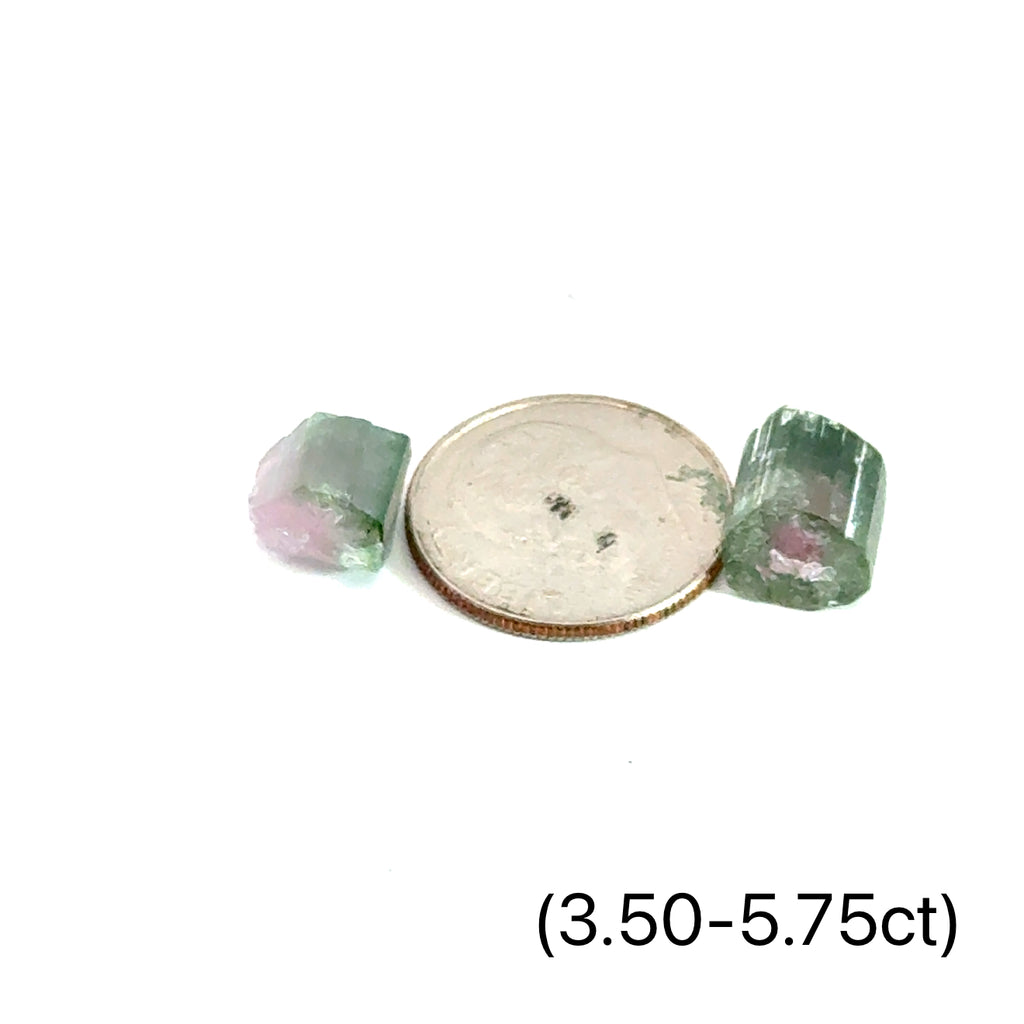 Raw Watermelon Tourmaline gemstone showing pink and green layers on white background front view with dime to show size (3.50-5.75ct)