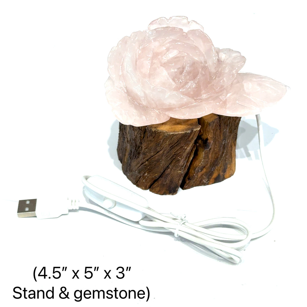 Rose Quartz Rose Carving with Wooden Light Stand 4.5'' x 5'' x3'' on white front view