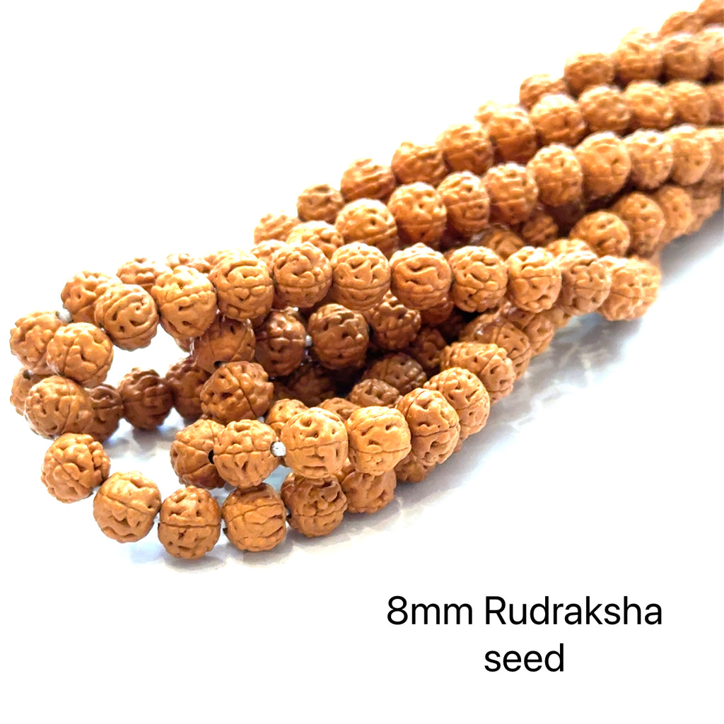 Rudraksha Seed Gemstone Strand on white 8mm long overview