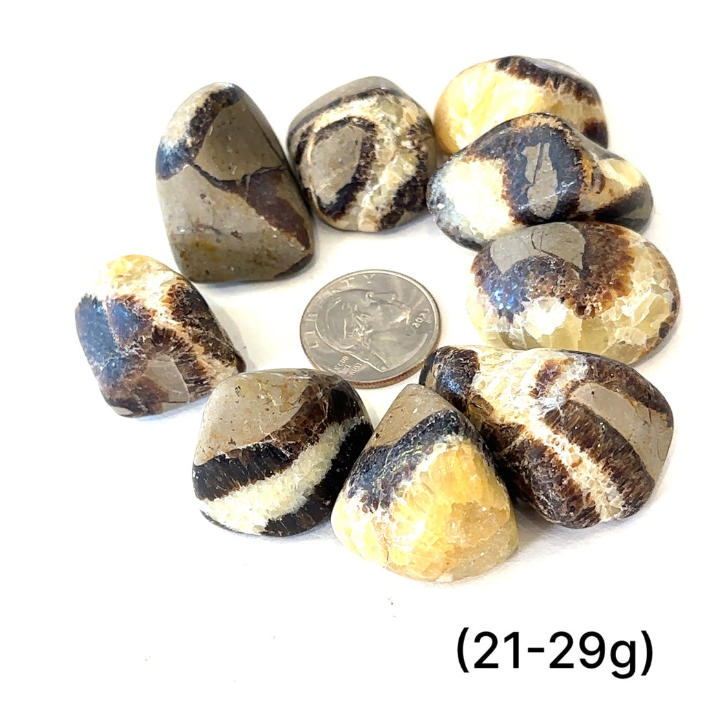 Septarian gemstone for communication, grounding, and root chakra balance grouping  (11-20g) on white center overview