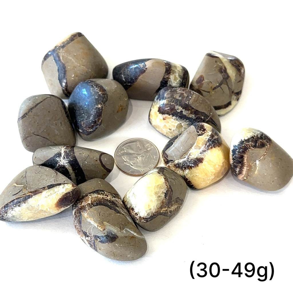 Septarian gemstone for communication, grounding, and root chakra balance grouping  (30-49g) on white center overview