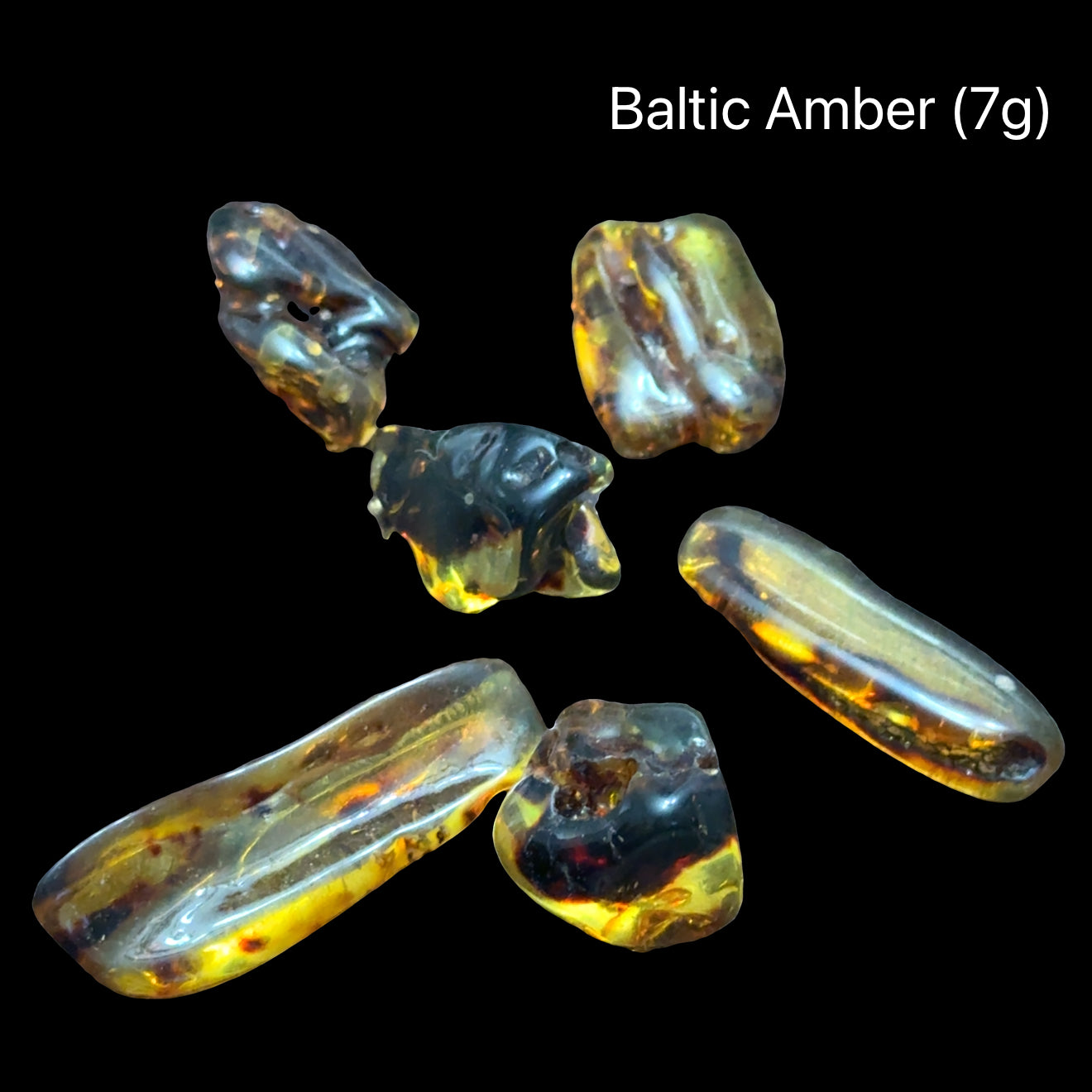 Six pieces of Baltic Amber on a black background with text indicating weight range (7g), front view.