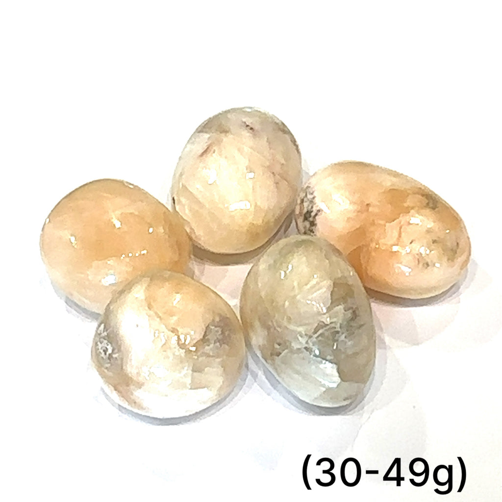 Stilbite Tumbled Gemstone grouping (30-49g) on white overview