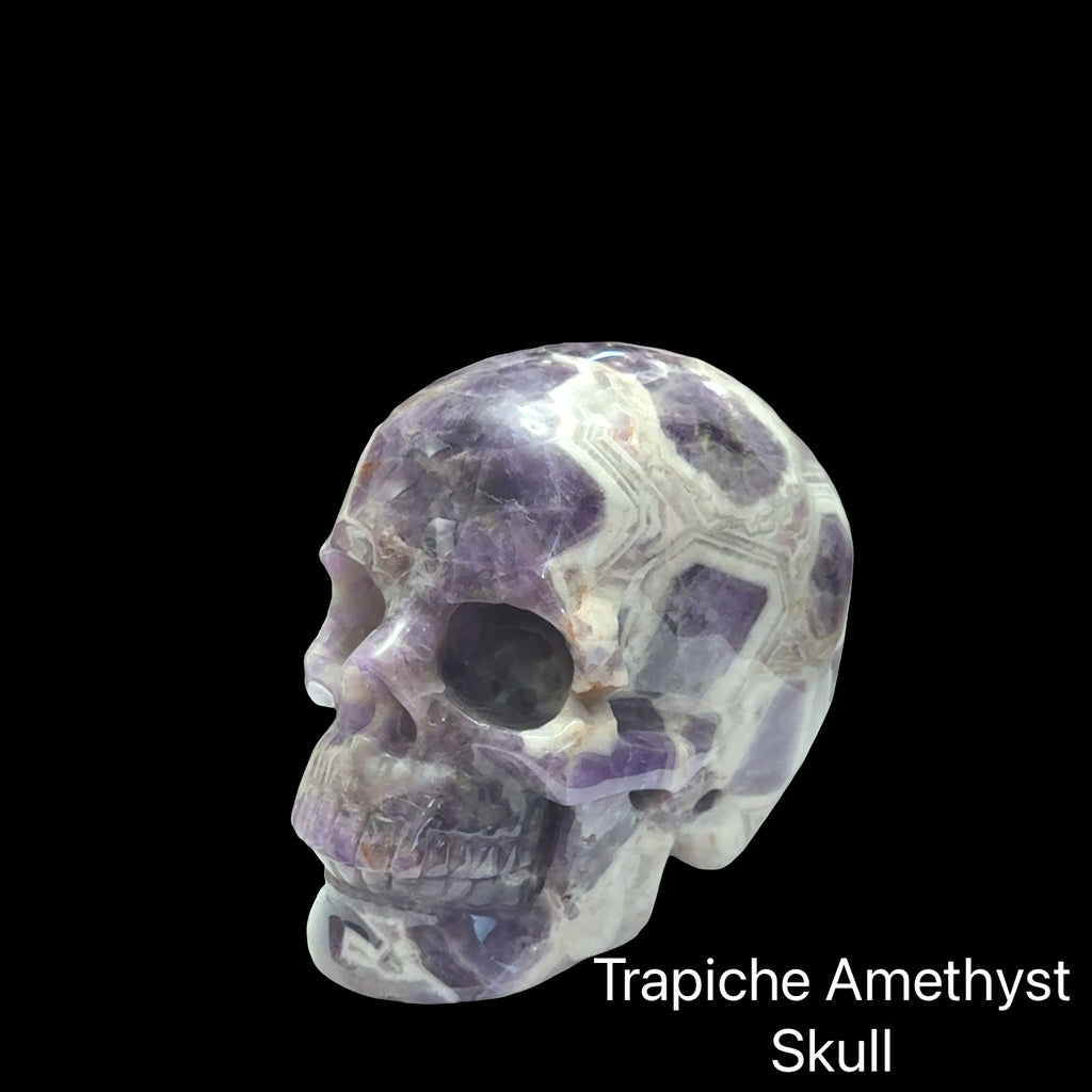 The larger of the two Trapiche Amethyst Gemstone carved skull on a black background, left angled, front view. 