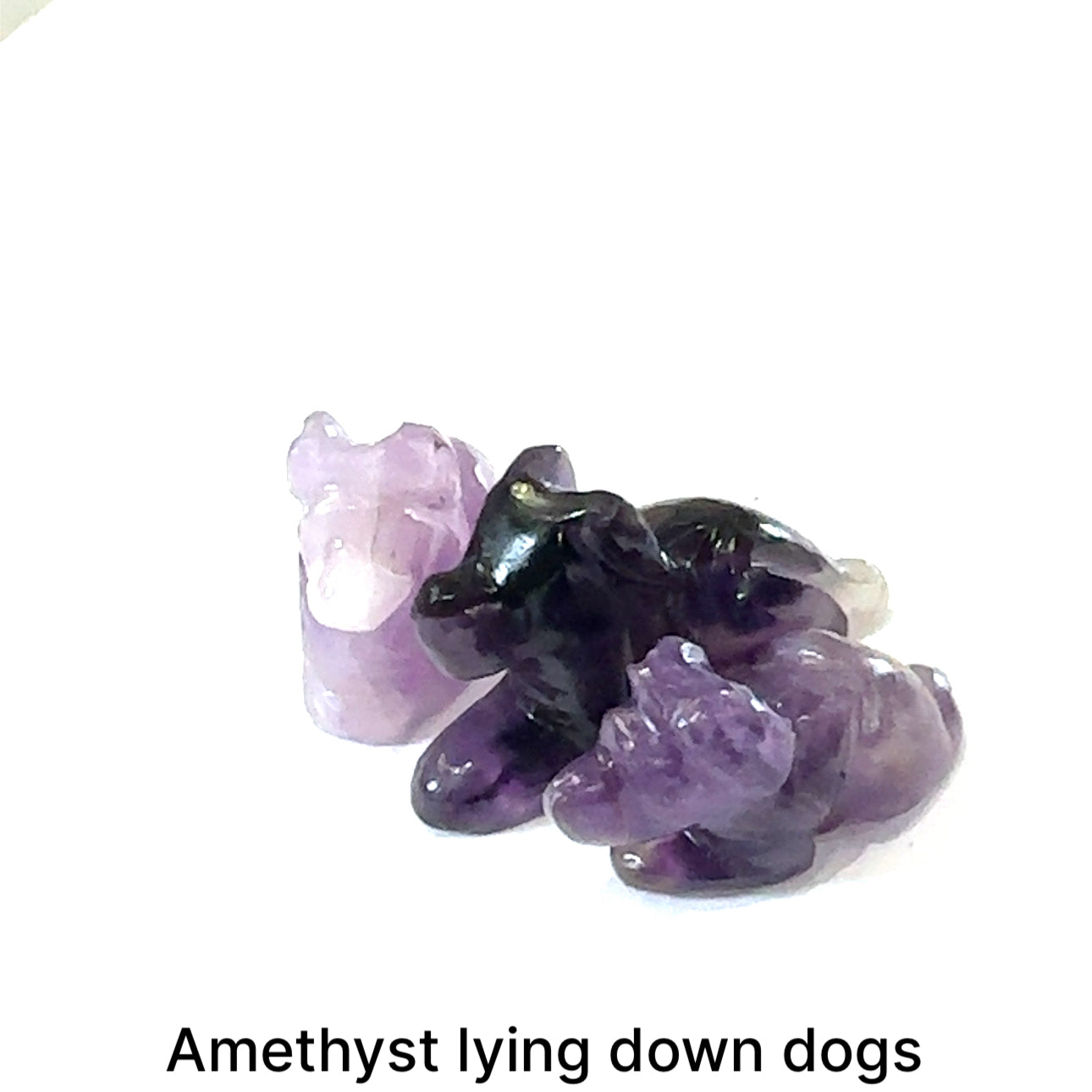 Three Amethyst hound Dog gemstone carving lying down on white background, front view.