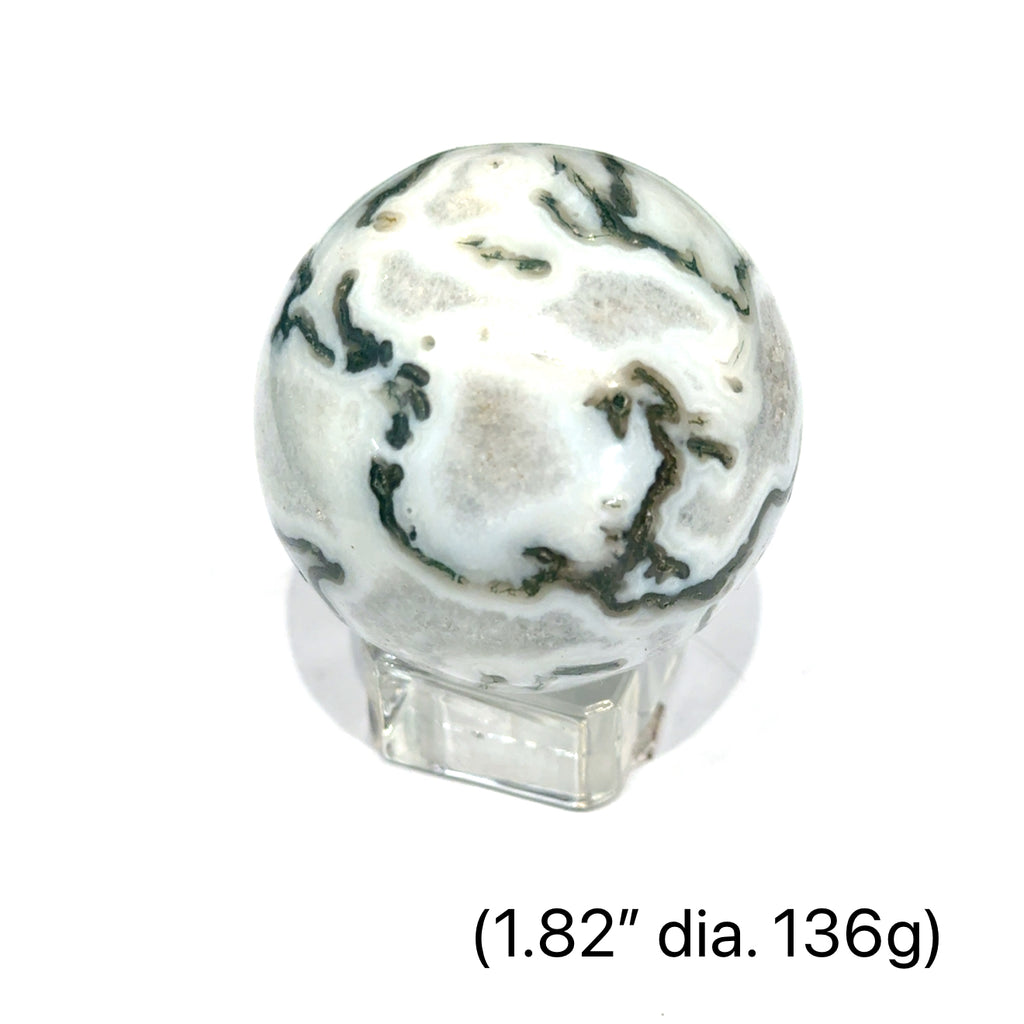 Tree Agate gemstone sphere on white 1.82'' dia. 136g front view 