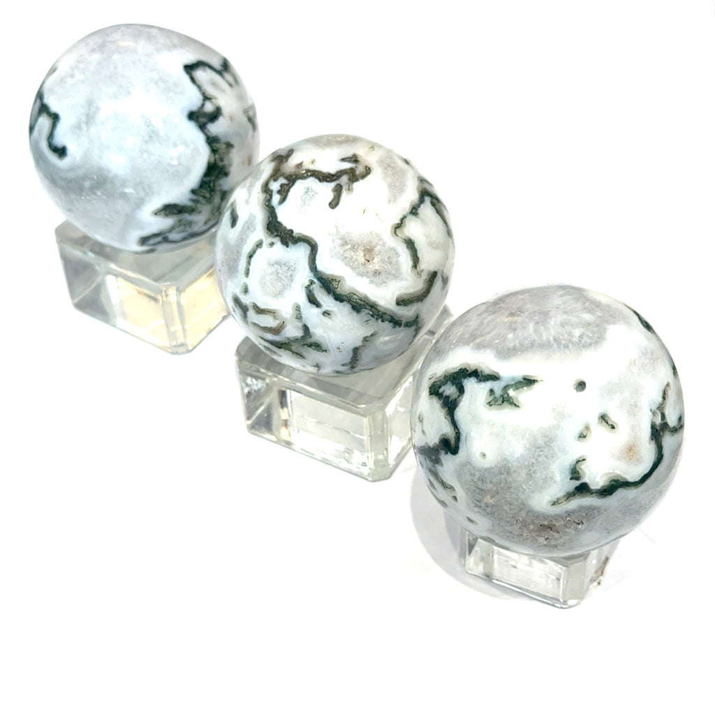 Tree Agate gemstone sphere on white grouping front view 