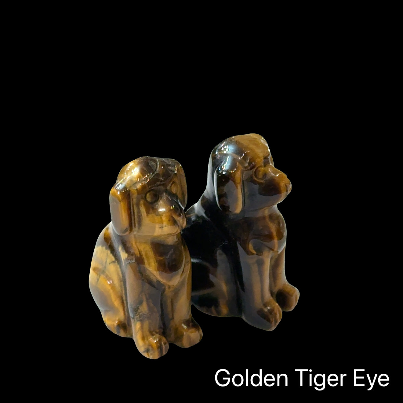 Two Golden Tiger Eye hound Dog gemstone carving on Black background, front view.