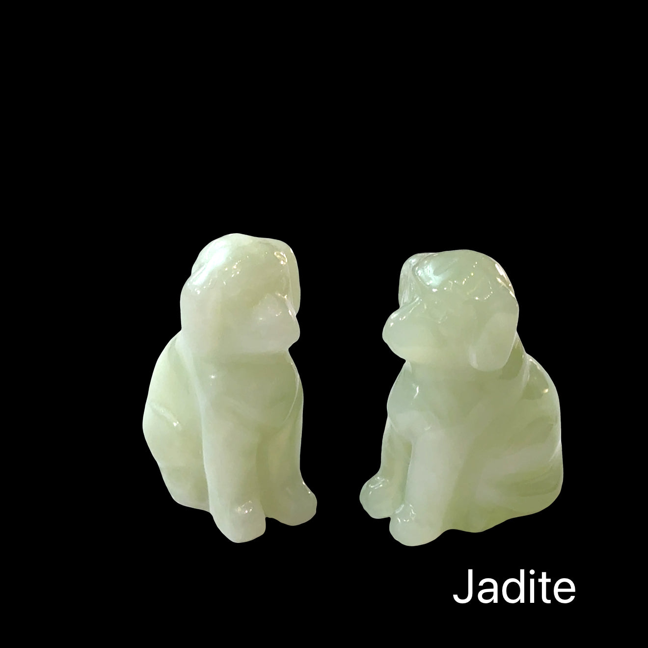 Two Jadeite hound Dog gemstone carving on Black background, front view.