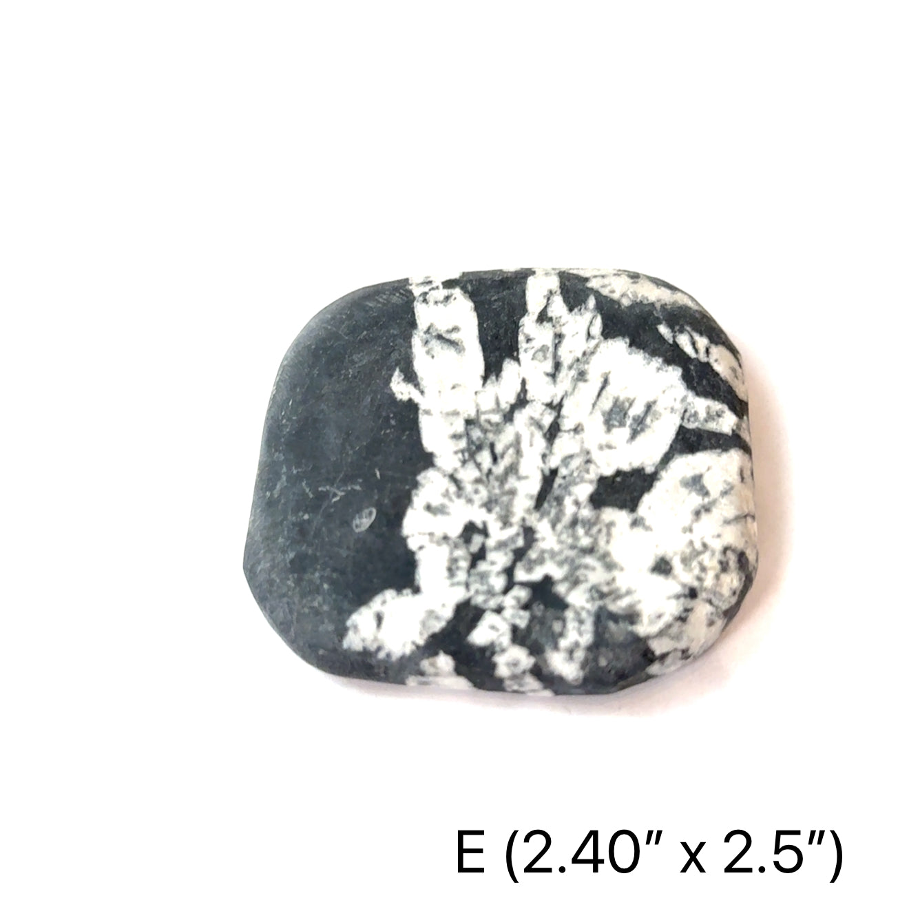 A Chrysanthemum palm stone #E  on a white background, front overview.