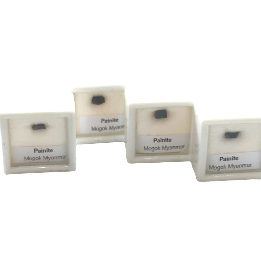 Painite Raw Gemstone in Perky Box