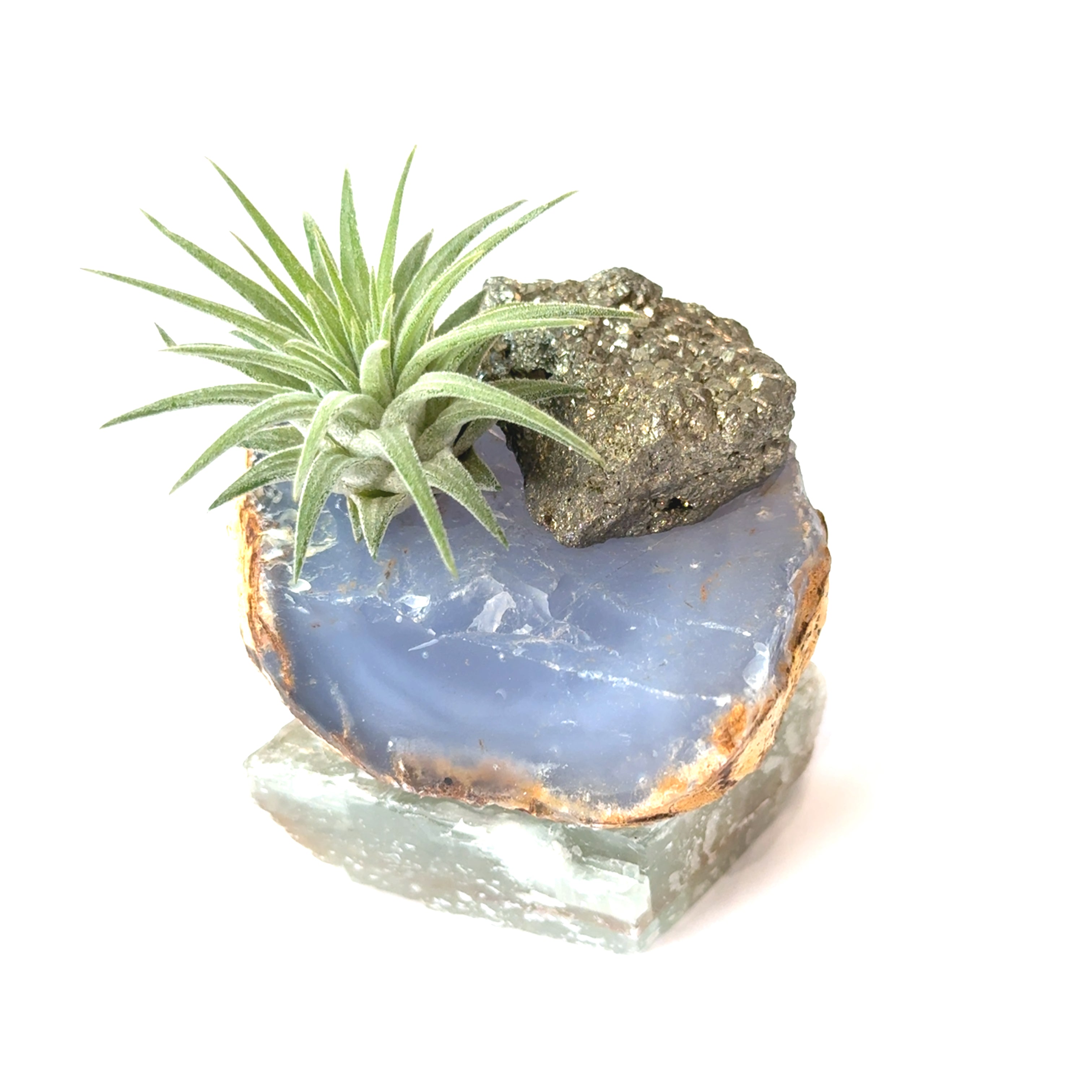 Air Plant & Gemstone Collections — Ethically Sourced | Hand-Selected by Stacy| Reiki, Sound & Moon Energy Infused