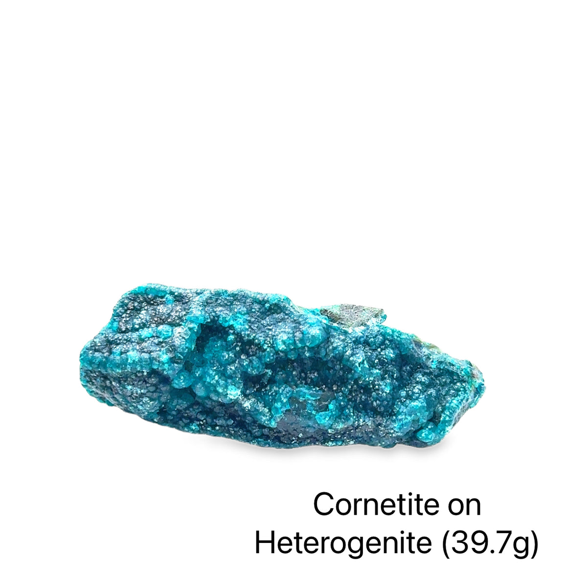 Cornetite on Heterogenite Raw Gemstone From the Democratic Republic of Congo