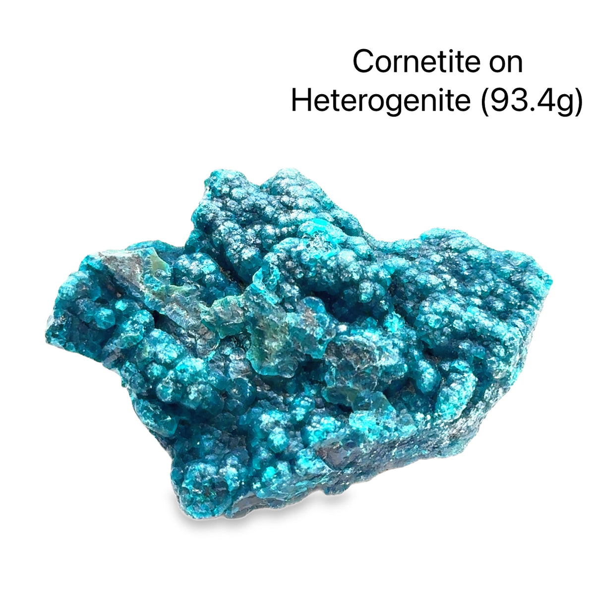 Cornetite on Heterogenite Raw Gemstone From the Democratic Republic of Congo