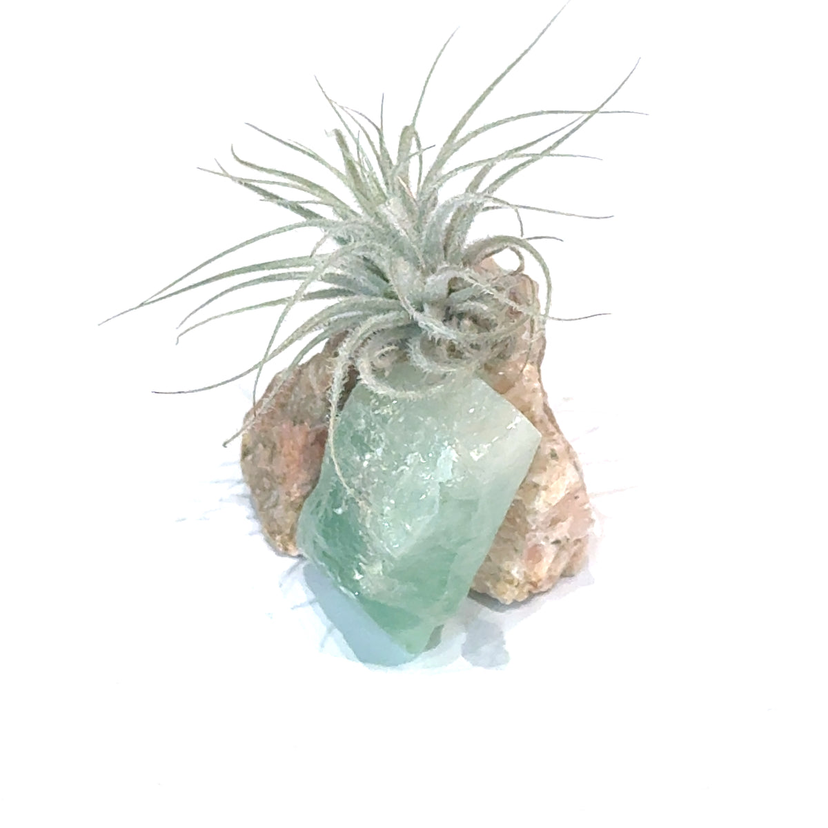 Air Plant and Gemstone Collections — Ethically Sourced, Hand-Selected by Stacy, Reiki, Sound and Moon Energy Infused