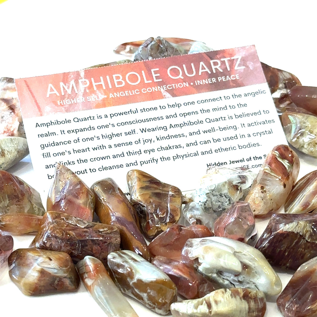 Unique Amphibole crystal with free information card included grouping on white overview 