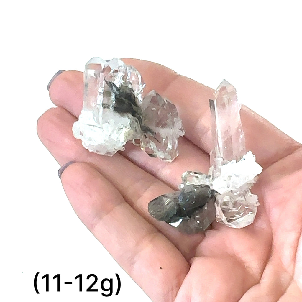 Unique Brookite in Quartz crystal with natural variations and metaphysical properties (11-12g) on white front overview