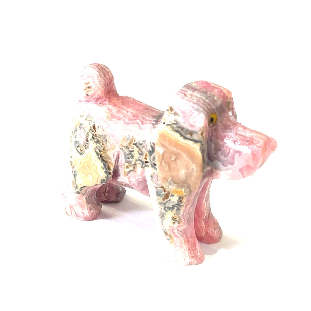 Unique gemstone dog carving with free information card on white left side view