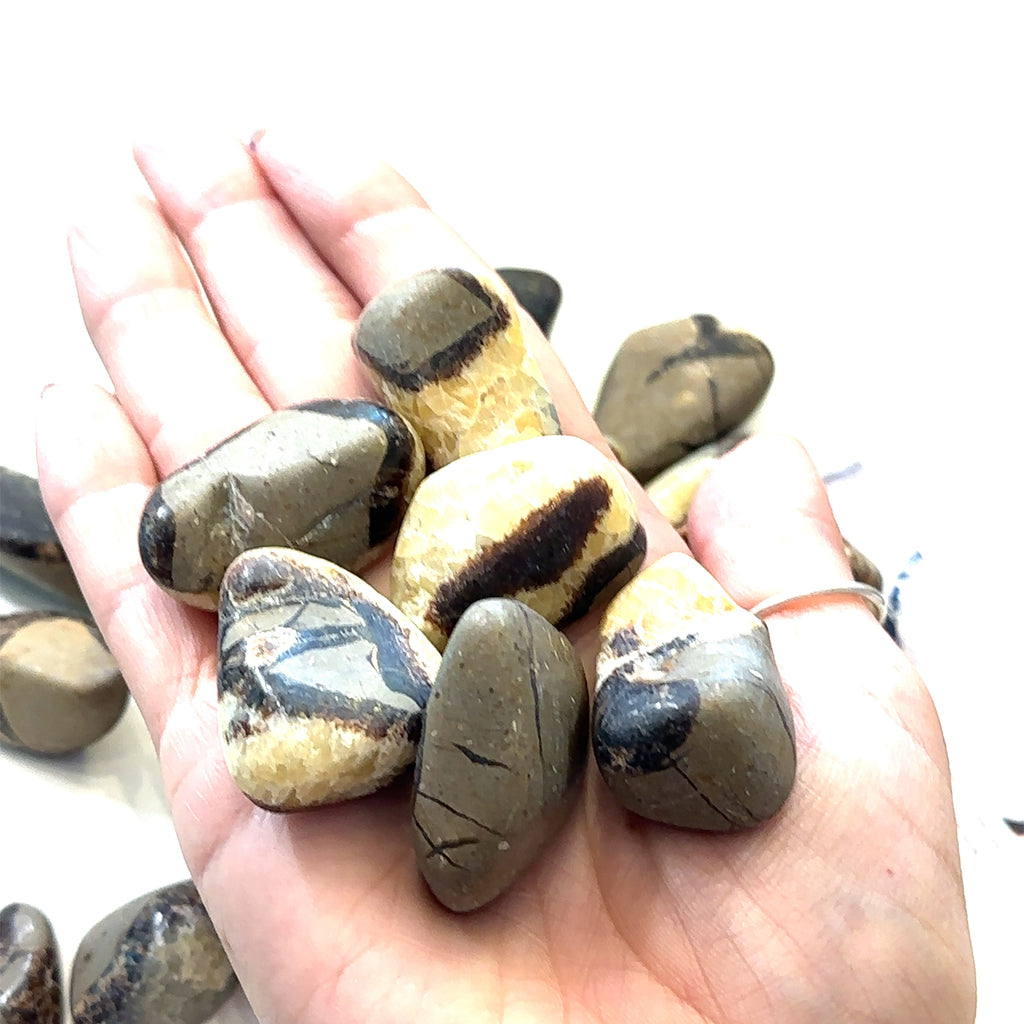 Unique tumbled Septarian stone for spiritual awakening and transformation on white in hand for close up overview